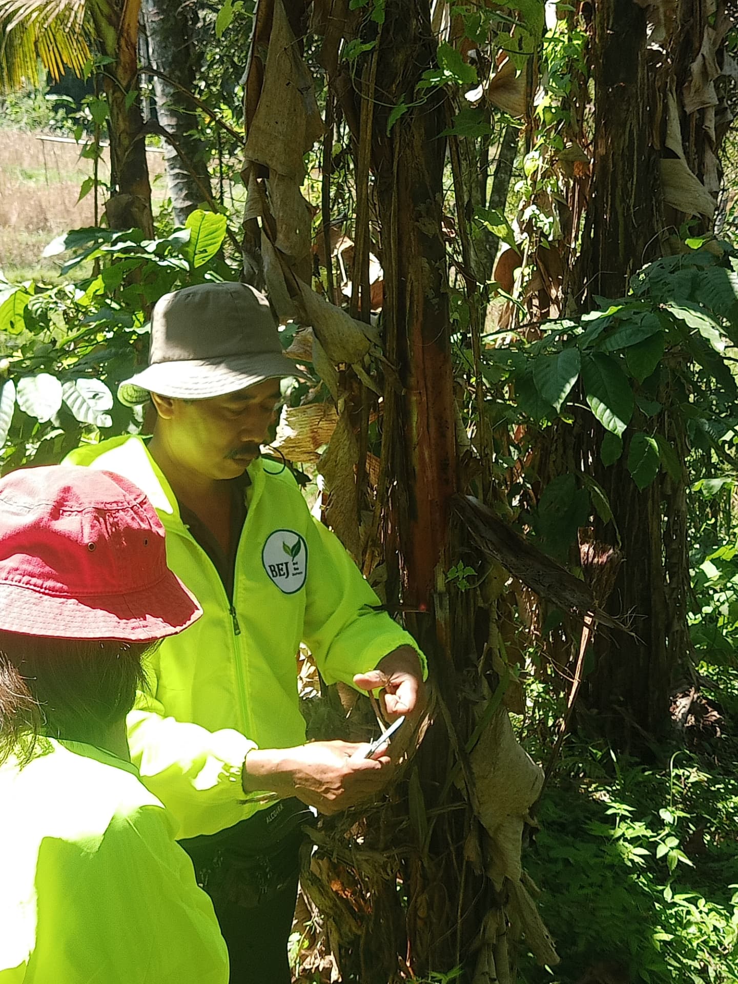 Foraging Tour (Meramban) 7