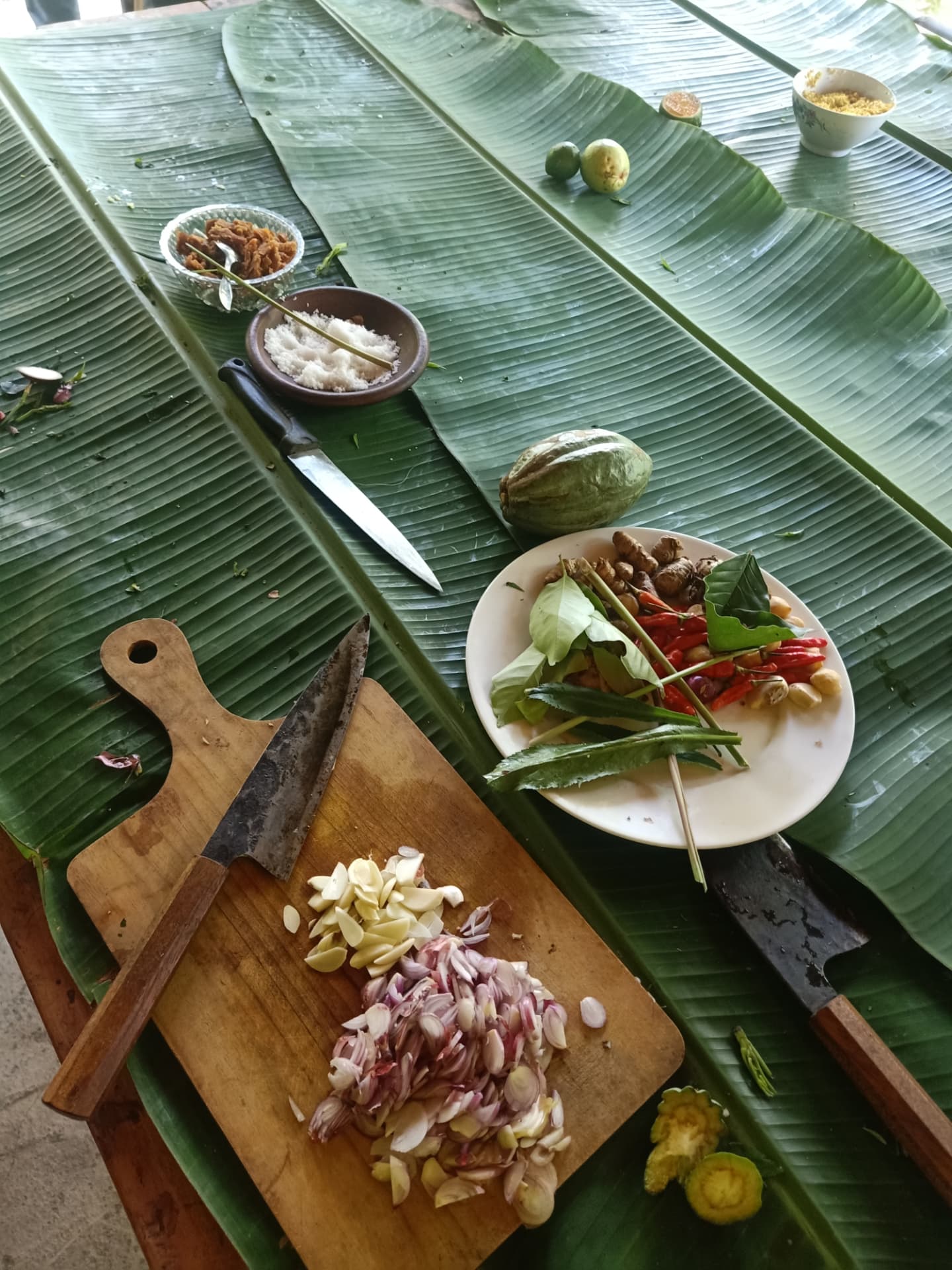 Foraging Tour (Meramban) 8