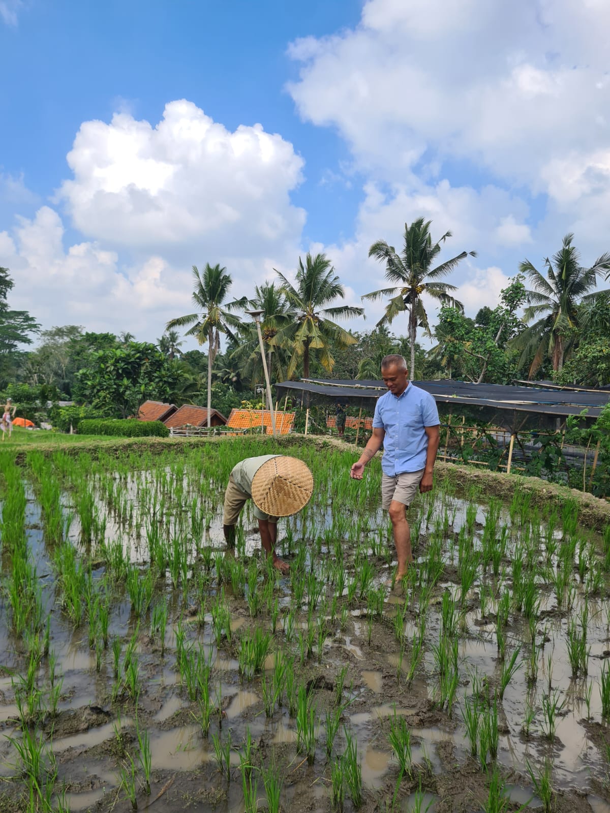 Rice Planting with Local Farmers 1