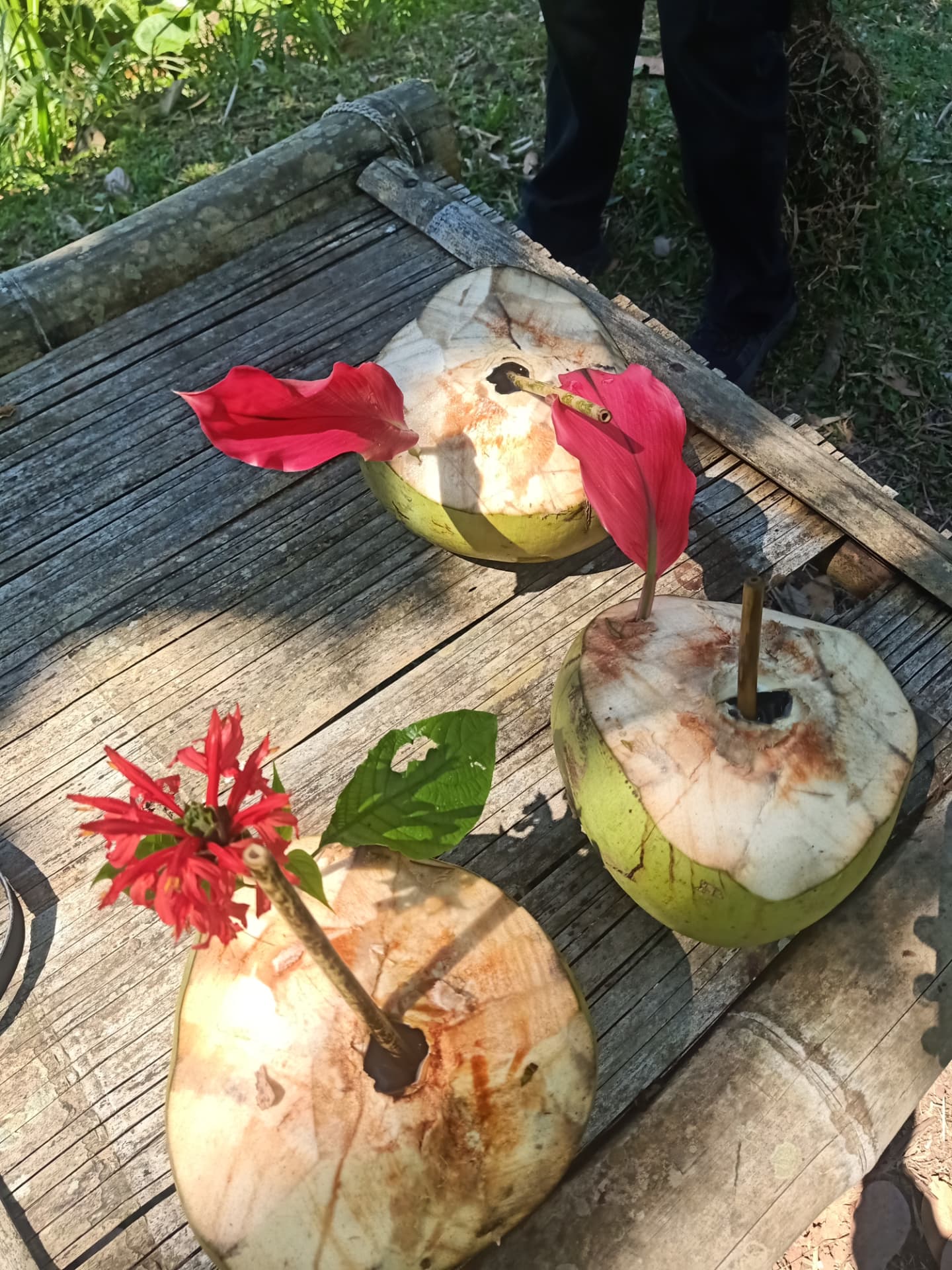 Foraging Tour (Meramban) 4